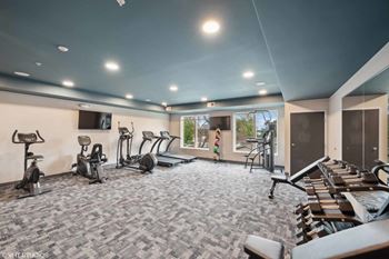 the gym has plenty of cardio equipment and treadmills